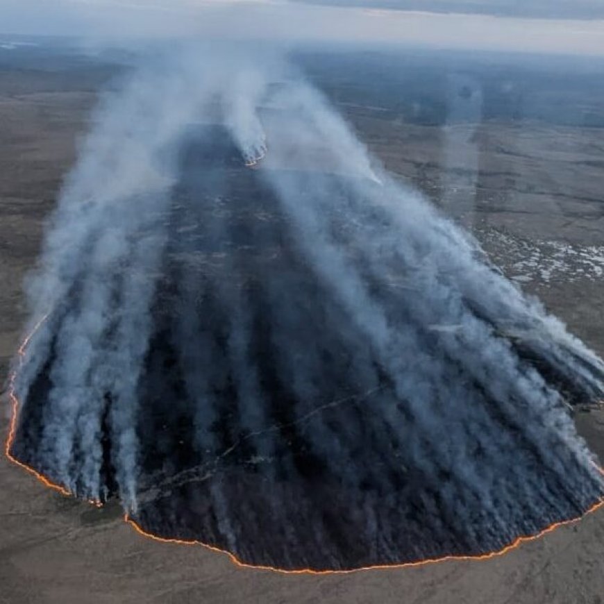 UK Battles Wildfires Amid Drought Warnings