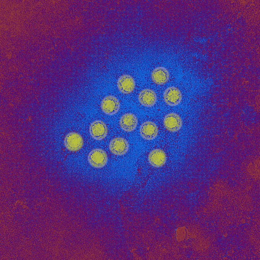 What to Know About the Hepatitis A Outbreak in L.A. County