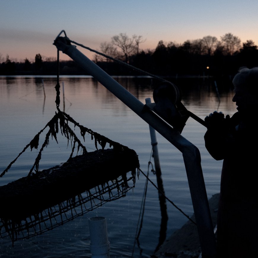 Sewage Sludge Fertilizer From Maryland? Virginians Say No Thanks.