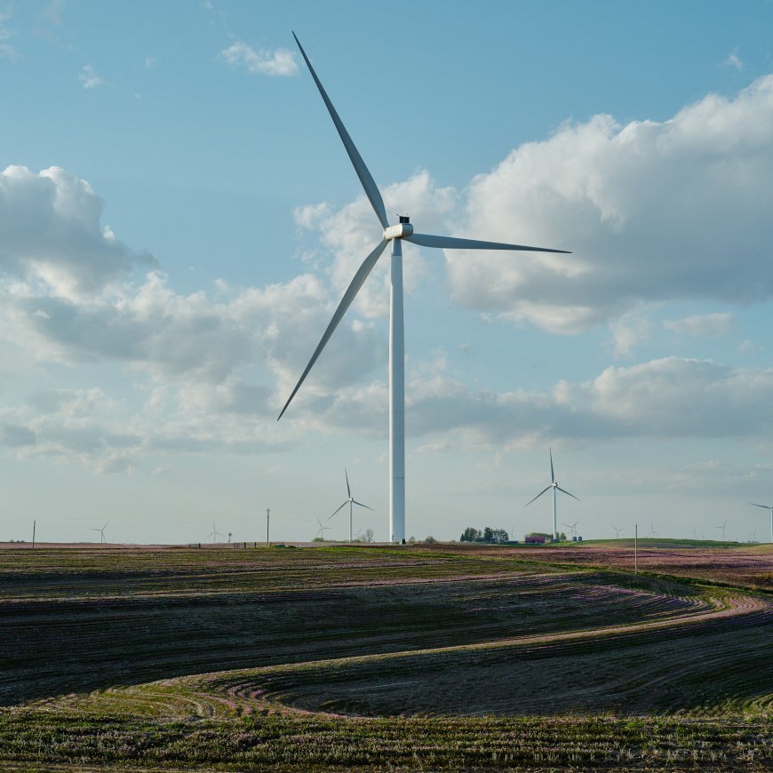 17 States Sue Over Trump’s Halting of Wind Power Projects